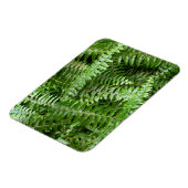 Fern Fronds I Green Nature Magneet (Linkerzijde)