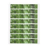 Fern Fronds I Green Natuur (Vel)