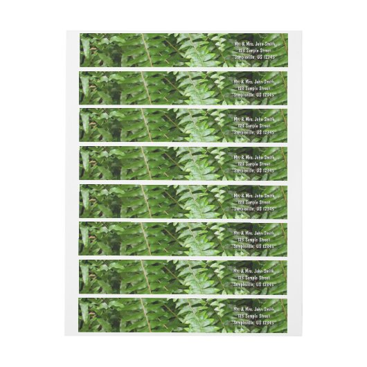 Fern Fronds I Green Natuur (Vel)