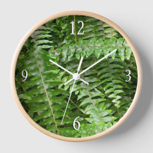 Fern Fronds I Green Natuur