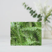Fern Fronds I Green Natuur Briefkaart (Staand voorkant)