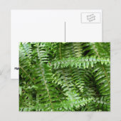 Fern Fronds I Green Natuur Briefkaart (Voorkant / Achterkant)