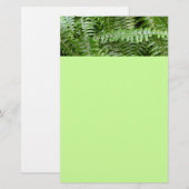 Fern Fronds I Green Natuur Briefpapier (Voorkant / Achterkant)