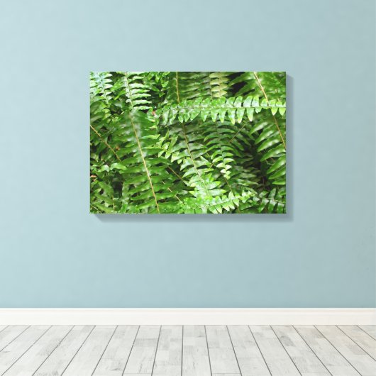 Fern Fronds I Green Natuur Canvas Afdruk (Insitu (Houten vloer))