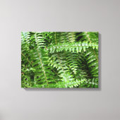 Fern Fronds I Green Natuur Canvas Afdruk (Voorkant)