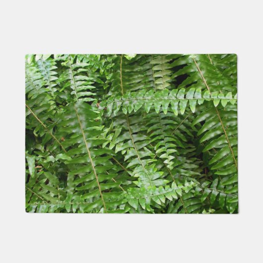 Fern Fronds I Green Natuur Deurmat (Voorkant)
