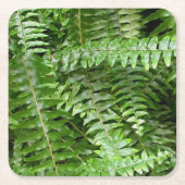 Fern Fronds I Green Natuur Kartonnen Onderzetters (Voorkant)