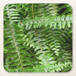Fern Fronds I Green Natuur Kartonnen Onderzetters