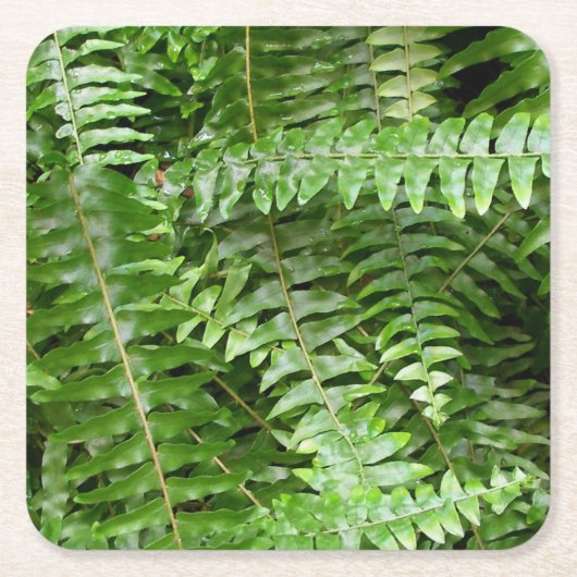 Fern Fronds I Green Natuur Kartonnen Onderzetters (Voorkant)