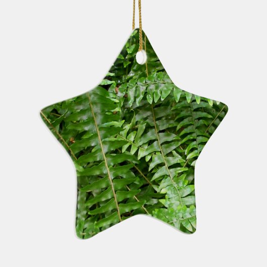 Fern Fronds I Green Natuur Keramisch Ornament (Rechts)