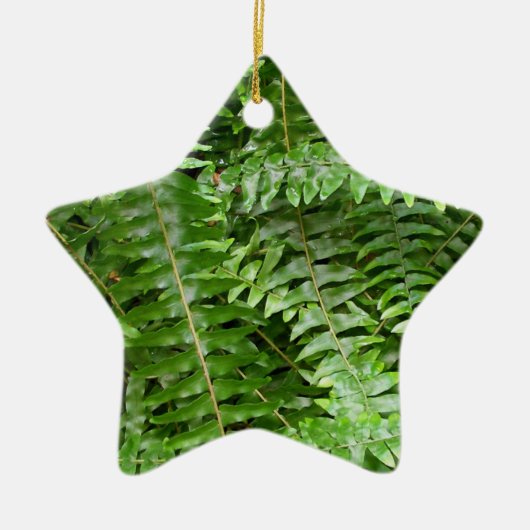 Fern Fronds I Green Natuur Keramisch Ornament (Voorkant)