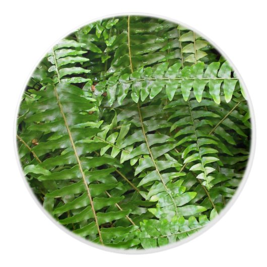 Fern Fronds I Green Natuur Keramische Knop (Voorkant)