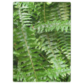 Fern Fronds I Green Natuur Klembord (Achterkant)