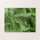 Fern Fronds I Green Natuur Legpuzzel (Horizontaal)