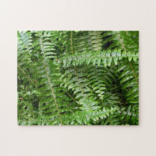 Fern Fronds I Green Natuur Legpuzzel (Horizontaal)