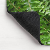 Fern Fronds I Green Natuur Muismat (Hoek)