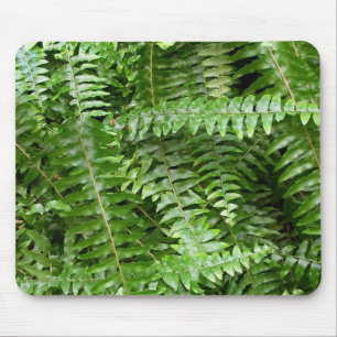 Fern Fronds I Green Natuur Muismat
