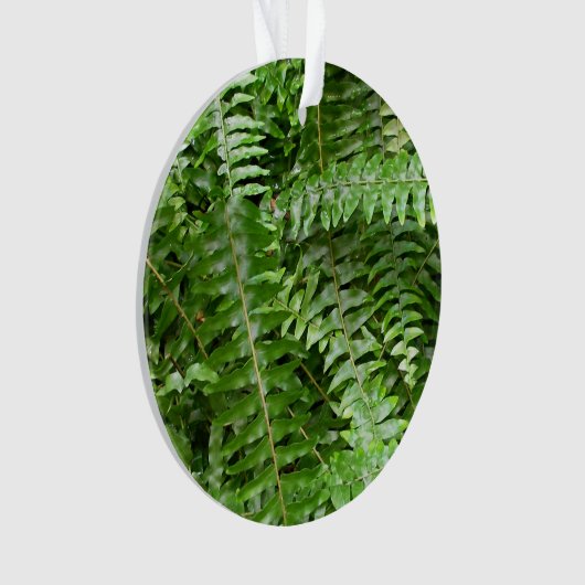 Fern Fronds I Green Natuur Ornament (voorkant)