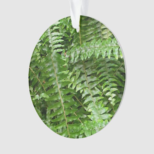 Fern Fronds I Green Natuur Ornament (voorkant)
