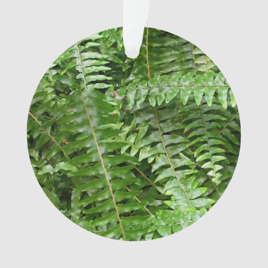 Fern Fronds I Green Natuur Ornament (voorkant)