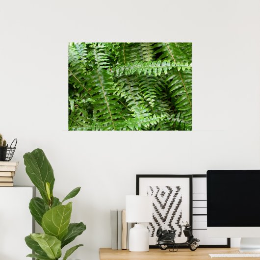 Fern Fronds I Green Natuur Poster (Thuiskantoor)
