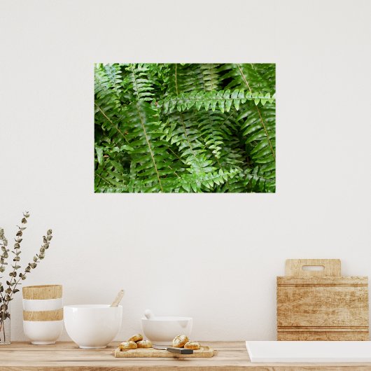 Fern Fronds I Green Natuur Poster (Keuken)