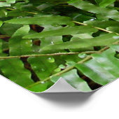Fern Fronds I Green Natuur Poster (Hoek)