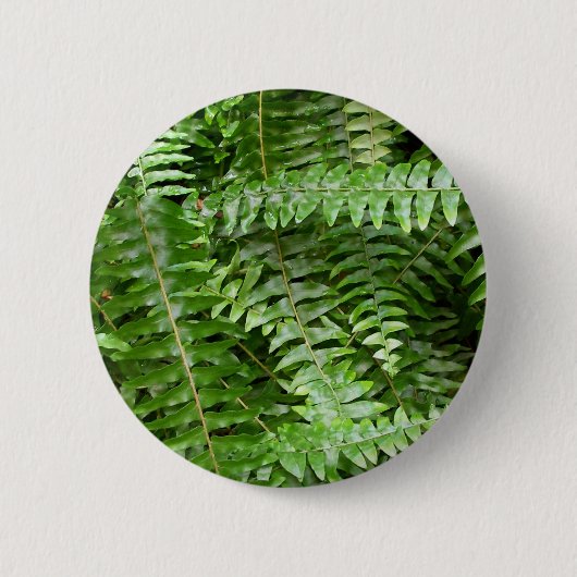Fern Fronds I Green Natuur Ronde Button 5,7 Cm (Voorkant)