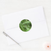 Fern Fronds I Green Natuur Ronde Sticker (Envelop)