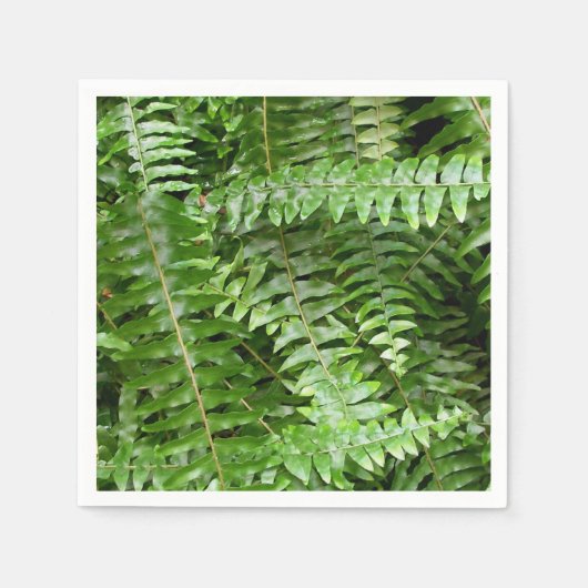 Fern Fronds I Green Natuur Servet (Voorkant)