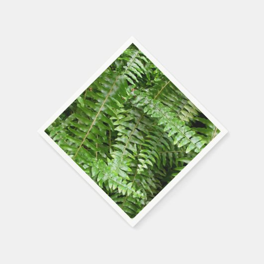Fern Fronds I Green Natuur Servet (Hoek)
