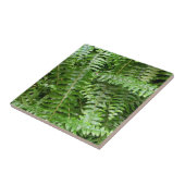 Fern Fronds I Green Natuur Tegeltje (Zijkant)