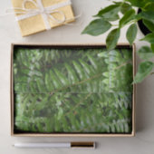 Fern Fronds I Green Natuur Tissuepapier (Geschenk)