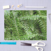 Fern Fronds I Green Natuur Tissuepapier (Craft)