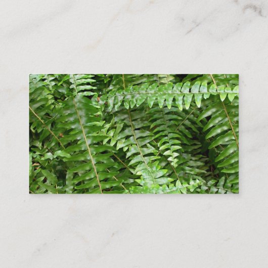 Fern Fronds I Green Natuur Visitekaartje (Achterkant)