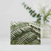 Fern Fronds II Donkere groene Natuur (Staand voorkant)