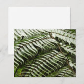 Fern Fronds II Donkere groene Natuur (Voorkant / Achterkant)