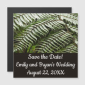 Fern Fronds II Donkere groene Natuur (Voorkant / Achterkant)