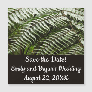 Fern Fronds II Donkere groene Natuur