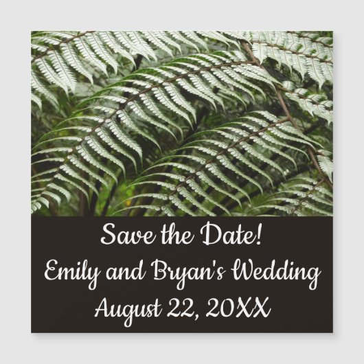 Fern Fronds II Donkere groene Natuur (Voorkant)