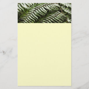 Fern Fronds II Donkere groene Natuur Briefpapier