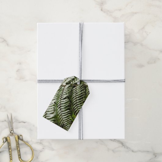 Fern Fronds II Donkere groene Natuur Cadeaulabel (Met Touw)