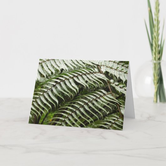 Fern Fronds II Donkere groene Natuur Kaart (Voorkant)
