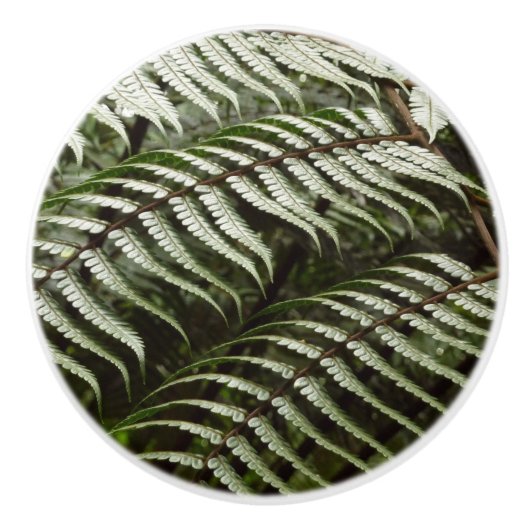 Fern Fronds II Donkere groene Natuur Keramische Knop (Voorkant)