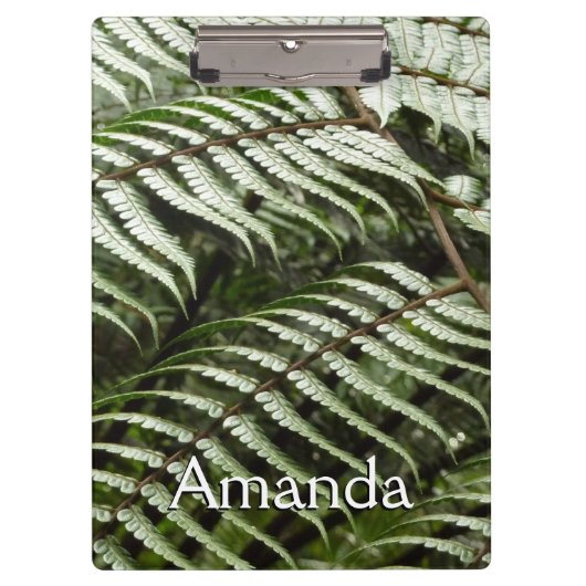 Fern Fronds II Donkere groene Natuur Klembord (Voorkant)