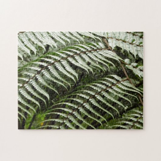 Fern Fronds II Donkere groene Natuur Legpuzzel (Horizontaal)