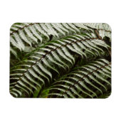 Fern Fronds II Donkere groene Natuur Magneet (Horizontaal)