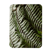 Fern Fronds II Donkere groene Natuur Magneet (Verticaal)