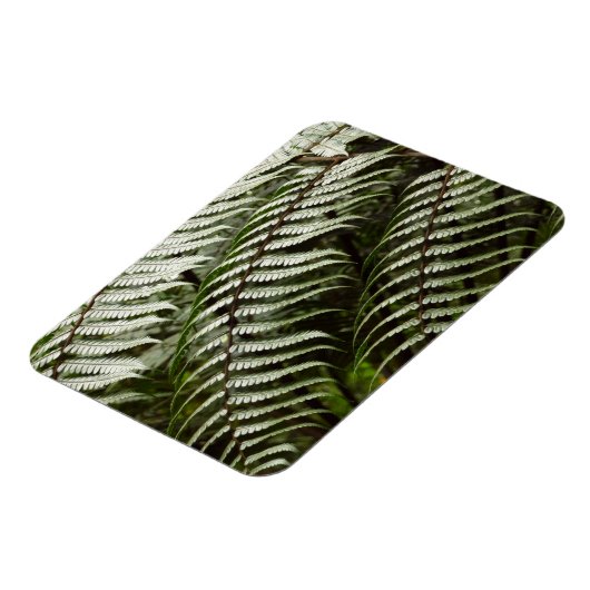 Fern Fronds II Donkere groene Natuur Magneet (Linkerzijde)