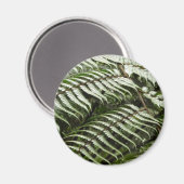 Fern Fronds II Donkere groene Natuur Magneet (Voorkant / Achterkant)
